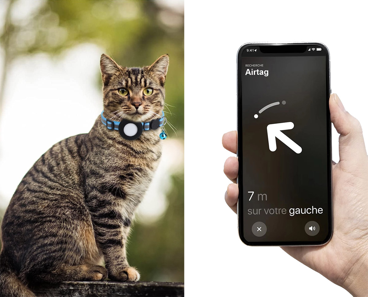 JAYZ® KIT Collier Chat + Tracker Smart Finder Inclus! Accessoire Compatible  avec Airtag Apple, GPS, Compatible iOS/Android, Collier Anti étranglement  pour Chatons, Chats et Petits Chiens : : Animalerie