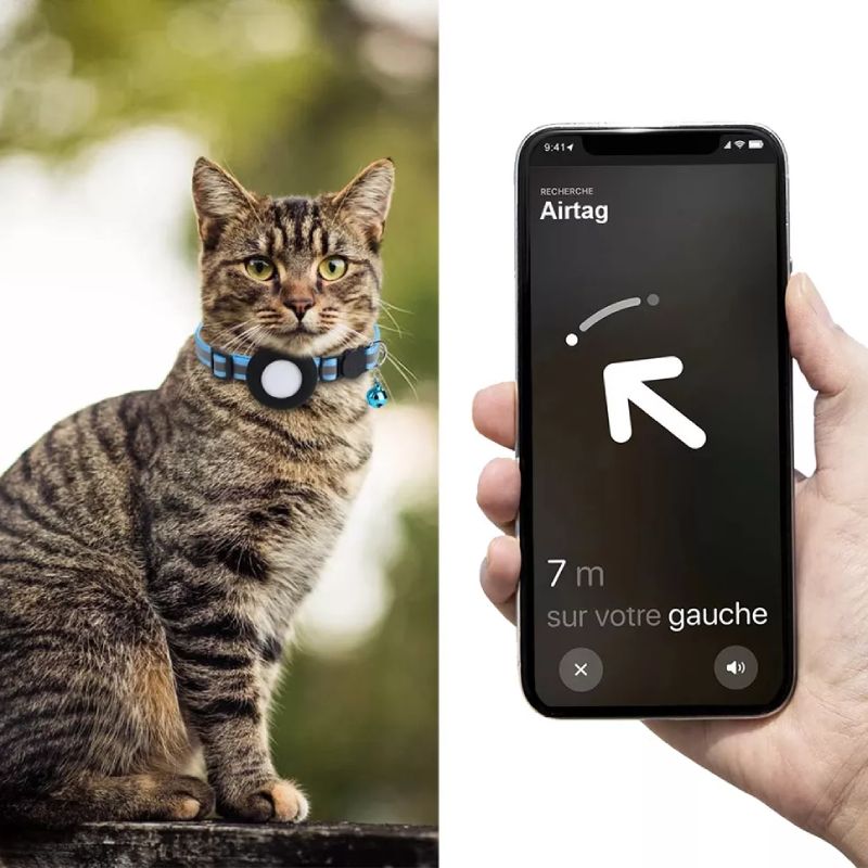 💥 Meilleurs colliers GPS pour chats 2024 - guide d'achat et comparatif