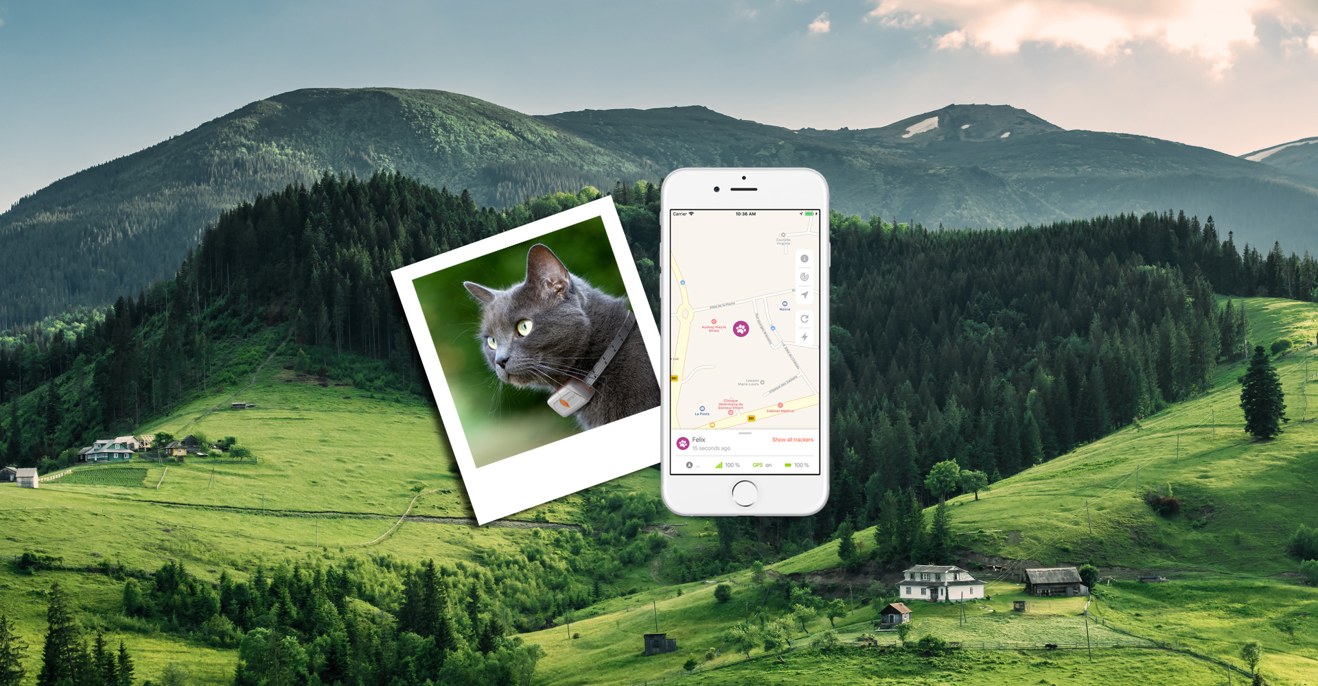 Weenect Cats 2 : Test complet de ce collier traceur GPS pour chat