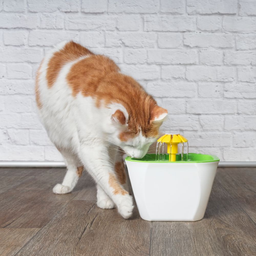 Fontaine à eau pour chat ultra silencieuse et sans fil Hydr